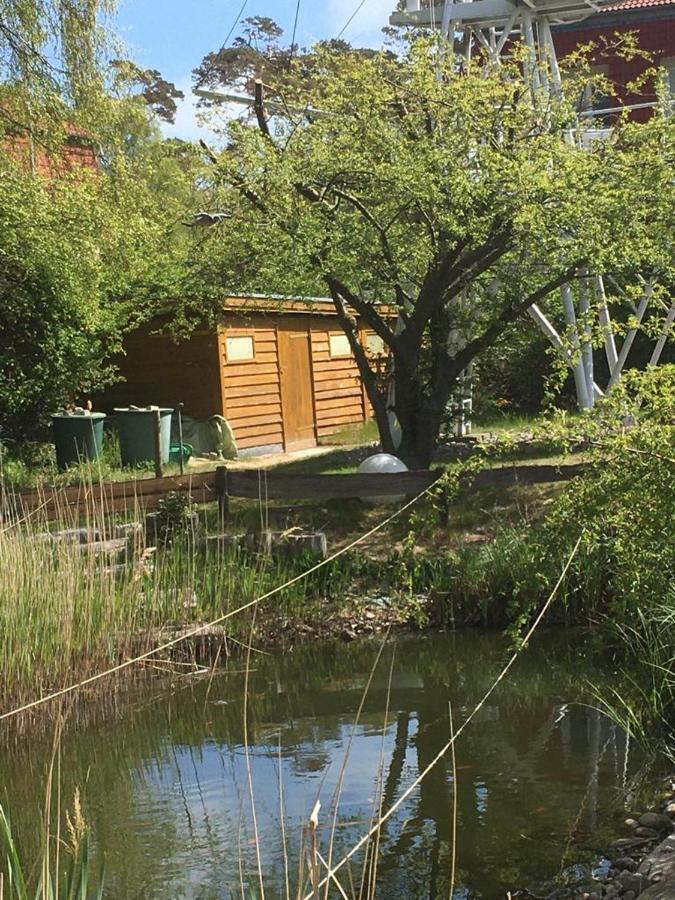 Fewo Schwalbennest Am Meer-Exklusiv-Eigener Strandzugang Ostseebad Kühlungsborn エクステリア 写真