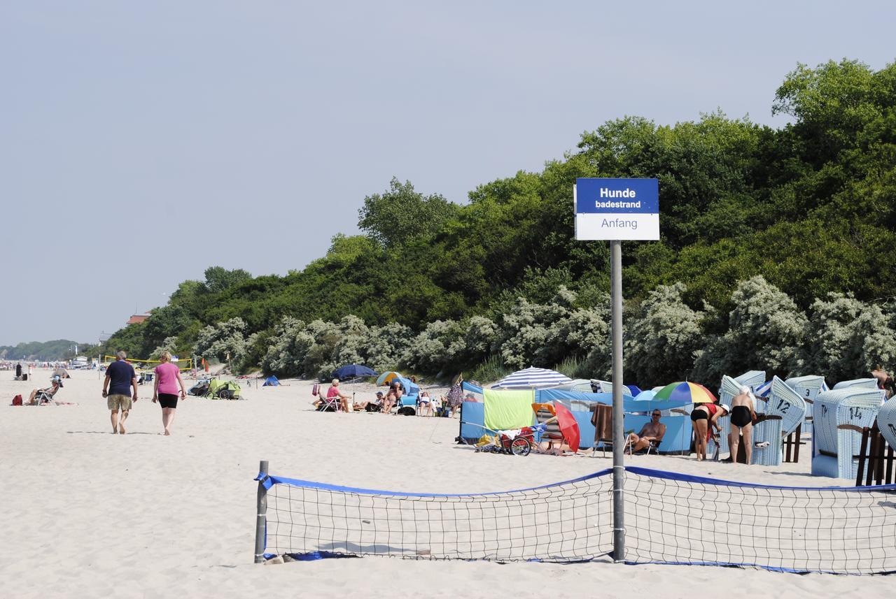 Fewo Schwalbennest Am Meer-Exklusiv-Eigener Strandzugang Ostseebad Kühlungsborn エクステリア 写真